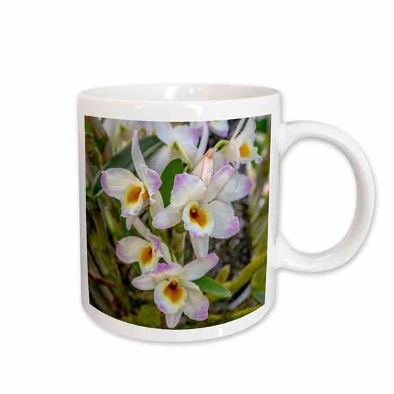 3drose, Dendrobium Orchid, 11oz Mug
