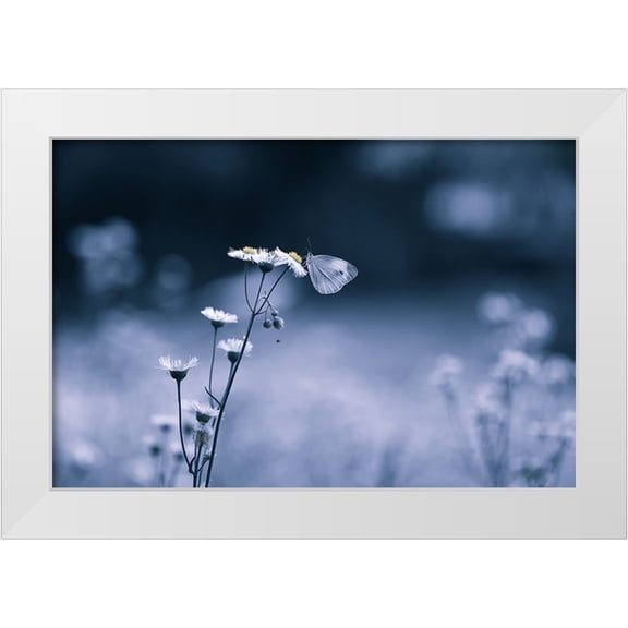Deng, Ivy 14x11 White Modern Wood Framed Museum Art Print Titled - Small Butterfly
