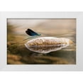 thumbnail image 1 of Deng, Ivy 32x23 White Modern Wood Framed Museum Art Print Titled - Damselfly, 1 of 4