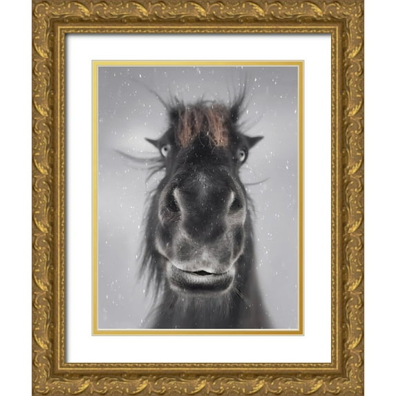 Deng, Larry 15x18 Gold Ornate Wood Framed with Double Matting Museum Art Print Titled - Hey