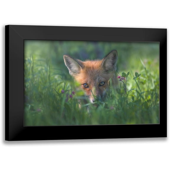 Deng, Larry 18x13 Black Modern Framed Museum Art Print Titled - Red Fox