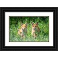 thumbnail image 1 of Deng, Larry 18x13 Black Ornate Wood Framed with Double Matting Museum Art Print Titled - Brothers, 1 of 4