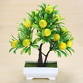 thumbnail image 1 of Dengjunhu Artificial Potted Fruit Tree Bonsai, Faux Mini Plastic Fruits Plants for Home Wedding Party Bonsai Decor Fake Green Pot Flowers Ornaments, 1 of 6