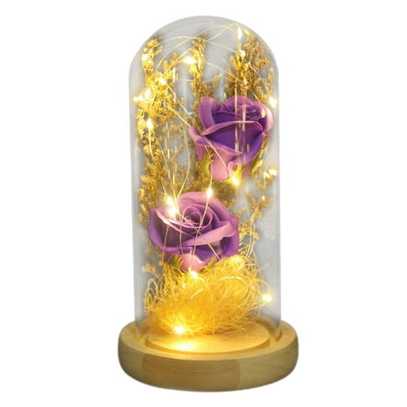 Dengmore Beauty and The Rose,Enchanted Flower with LED Light &Red Roses. Birthday for Home Decor