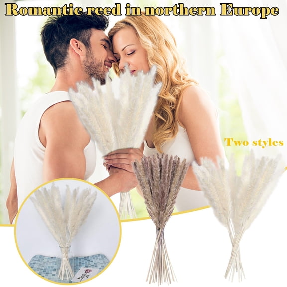 Dengmore Gift 15PC Dried Decoration Dried Flowers Vases Bouquet Boho Decoration Branches White