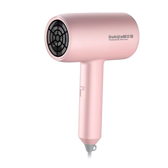 Dengmore Hair Dryer High-Speed Blow Dryer for Fast Drying Powerful 800W Low Noise Home Hair Dryer with Blowing Nozzle, Styling