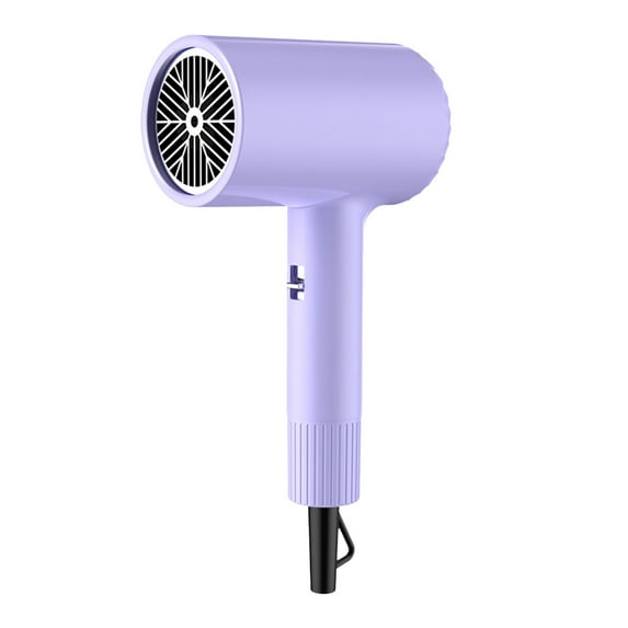 Dengmore Hair Dryer Powerful Fast Drying Low Noise, Negative Ionic Blow Dryer Household Hair Care Lightweight Travel Portable Hairdryer for Women Men