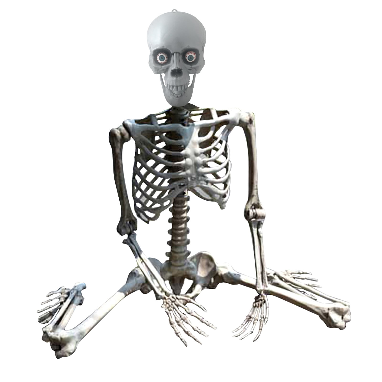 Dengmore Halloween Skeleton Prop Human Full Size Skull Hand Life Body ...