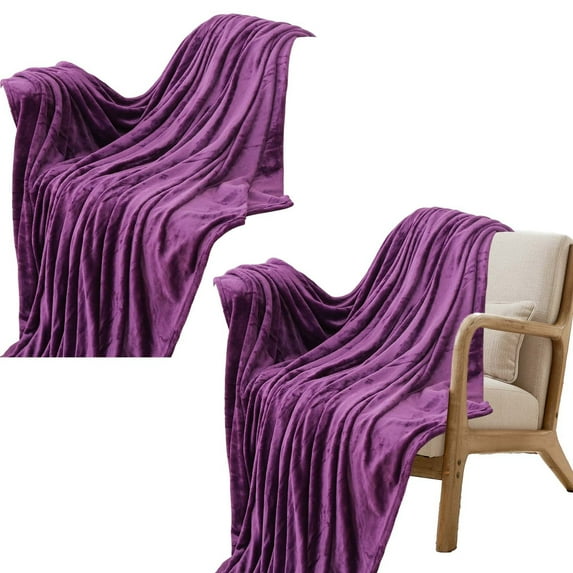 Denhf Fleece Throw Blanket for Couch, Super Soft Warm Fuzzy Cozy Flannel Blanket, Lightweight Plush Fluffy Blanket for Sofa, Bed and Living Room, Suitable for All Seasons, 60" x 80", Purple