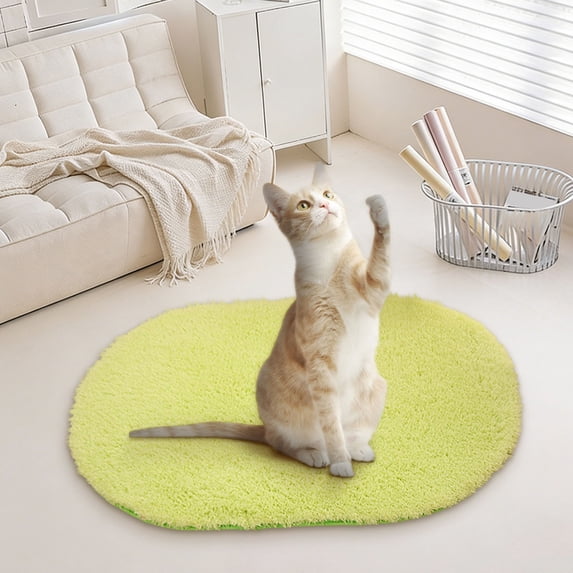 Denhf Fluffy Rug for Bedroom, Ultra Soft Washable Shaggy Oval Rug, Cozy Plush Area Rug for Home Living Room Kids Bedroom Nursery Dorm Decor, Cute Fuzzy Bedside Carpet, 23.6" x 15.8", Light Green