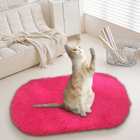 Denhf Fluffy Rug for Bedroom, Ultra Soft Washable Shaggy Oval Rug, Cozy Plush Area Rug for Home Living Room Kids Bedroom Nursery Dorm Decor, Cute Fuzzy Bedside Carpet, 23.6" x 15.8", Hot Pink