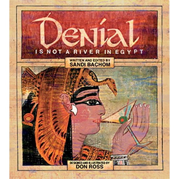 Pre-Owned Denial Is Not a River in Egypt (Paperback) 1568381883 9781568381886