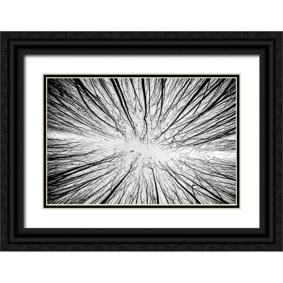 Denisvesely 24x17 Black Ornate Wood Framed with Double Matting Museum Art Print Titled - Up To The Sky