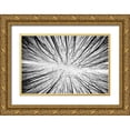 thumbnail image 1 of Denisvesely 24x17 Gold Ornate Wood Framed with Double Matting Museum Art Print Titled - Up To The Sky, 1 of 4