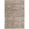 thumbnail image 1 of Denizi DZ1 Brown Transitional Rug 5' 3" X 7 ' 8", 1 of 4