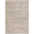 thumbnail image 1 of Denizi DZ6 Gray Transitional Rug 5' 3" X 7 ' 8", 1 of 4