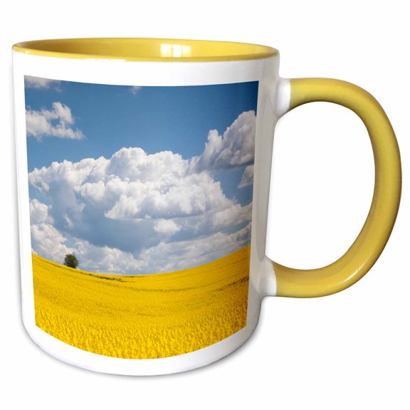 3drose, Denmark, Jutland, Odum, Blooming Rapeseed Field in Spring, 11oz Two-tone Yellow Mug