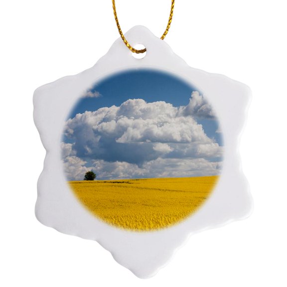 3drose, Denmark, Jutland, Odum, Blooming Rapeseed Field in Spring, 3 inch Snowflake Porcelain Ornament