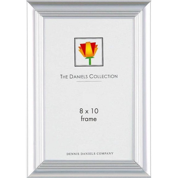 Dennis Daniels S0108P 8 x 10 in. Steel Contour Frame - Platinum
