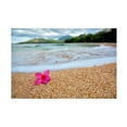 thumbnail image 1 of Dennis Frates 'Beach Treasures 4' Canvas Art, 1 of 3