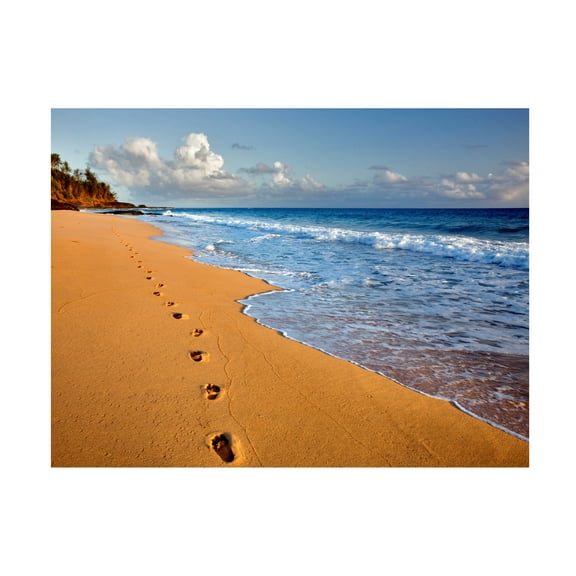 Dennis Frates 'Foot Prints In The Sand 1' Canvas Art