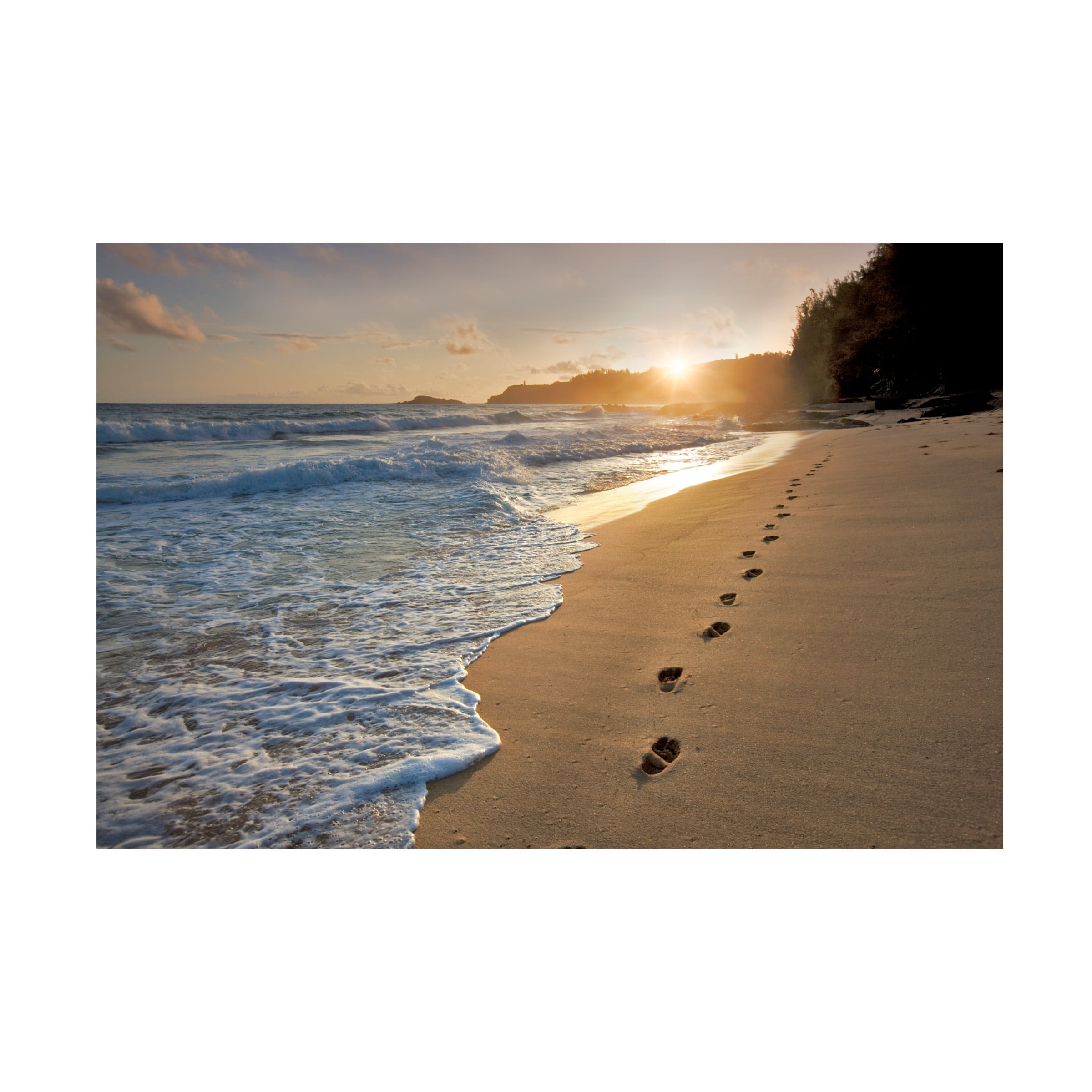 Dennis Frates 'Foot Prints In The Sand 2' Canvas Art