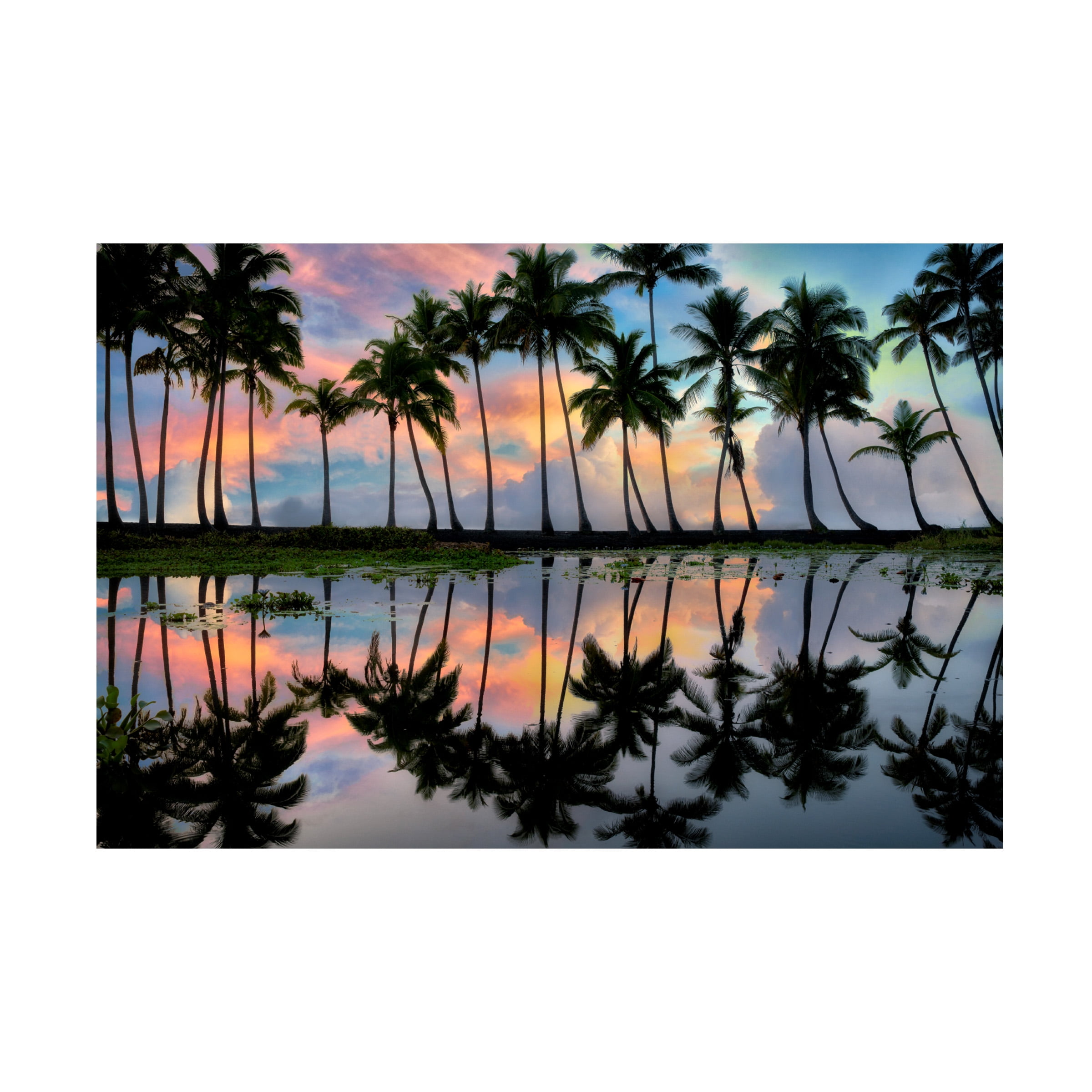 Dennis Frates Tropical Palm Trees Landscape Canvas Print