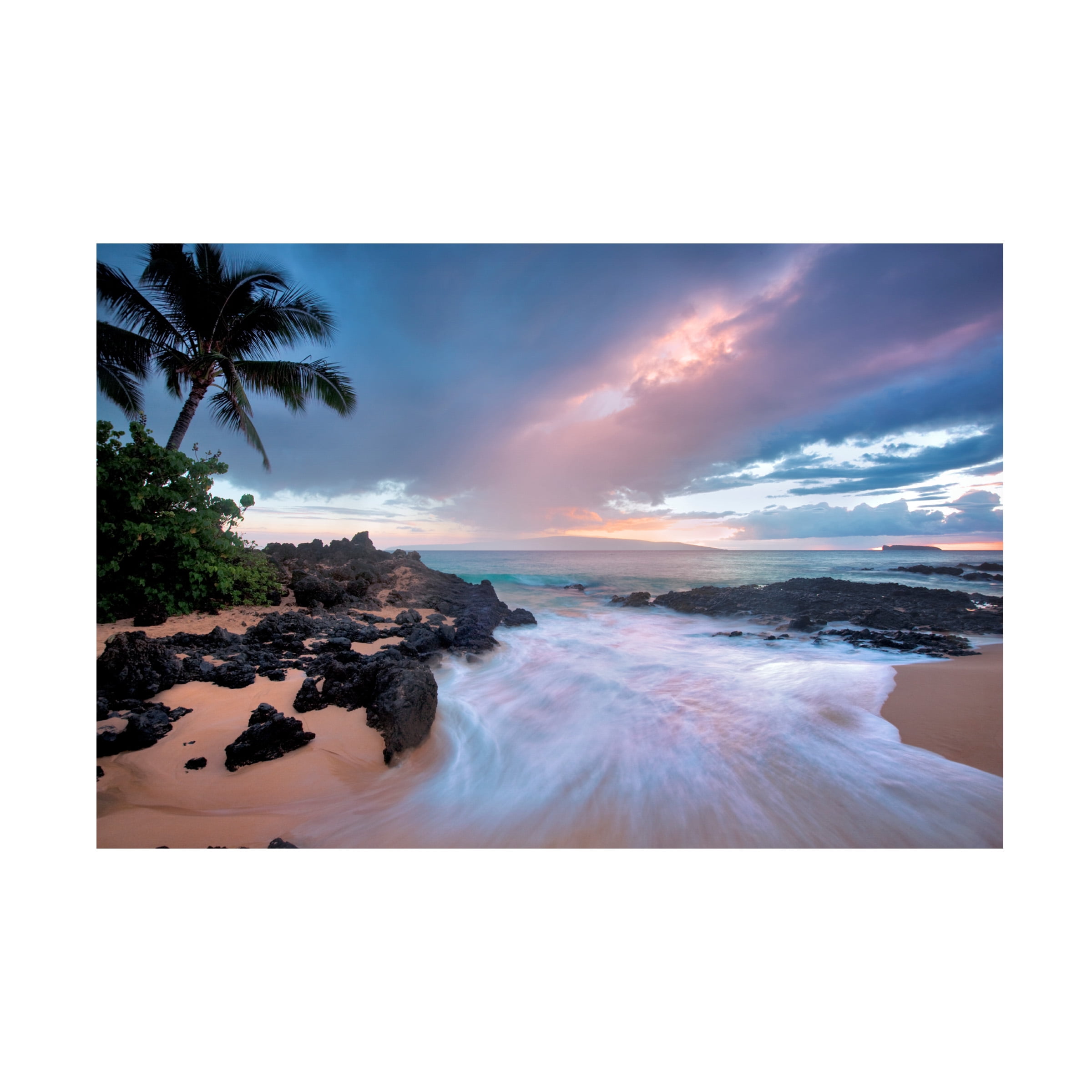 Dennis Frates 'Palms 13' Canvas Art