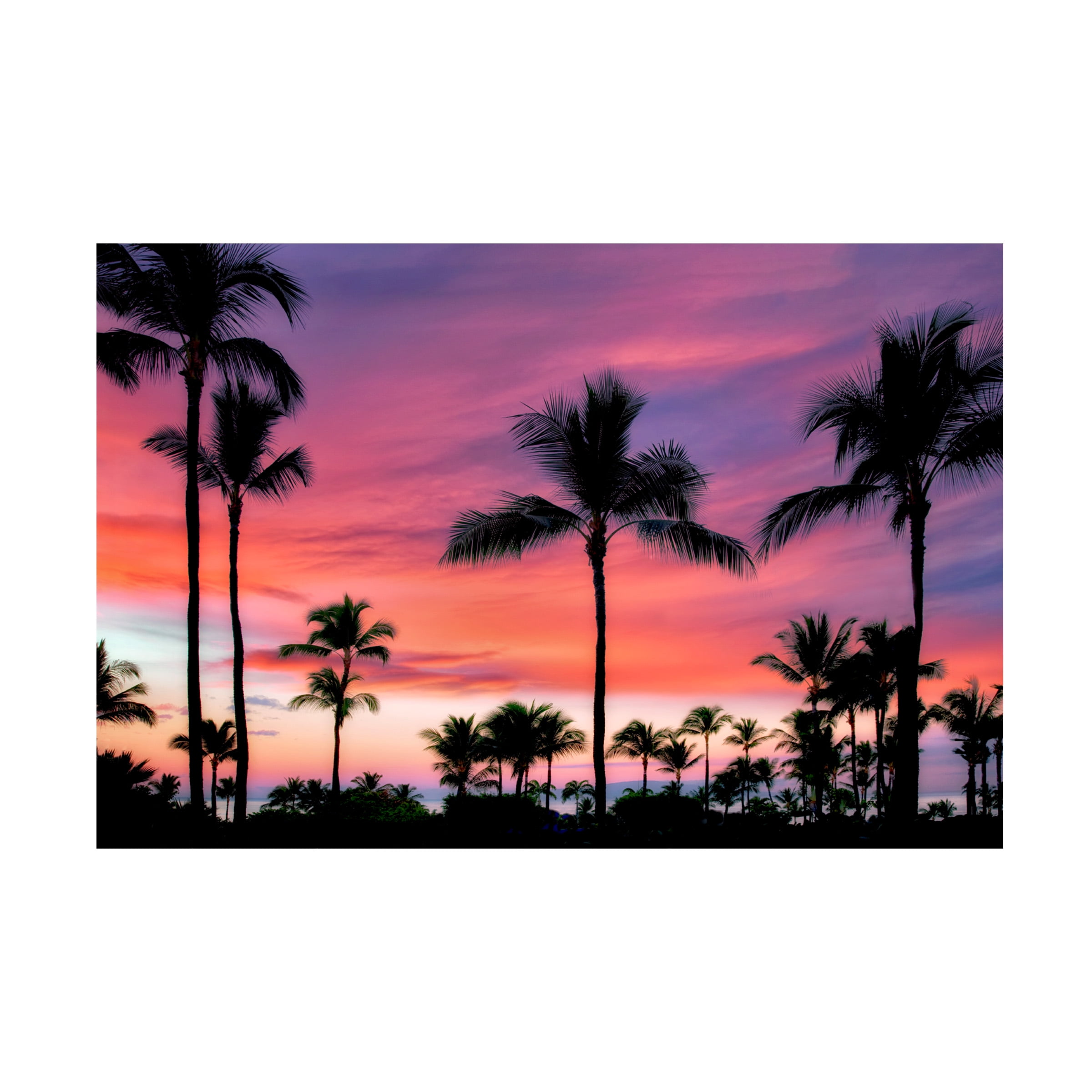 Dennis Frates 'Palms 2' Canvas Art
