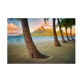thumbnail image 1 of Dennis Frates 'Palms 7' Canvas Art, 1 of 3