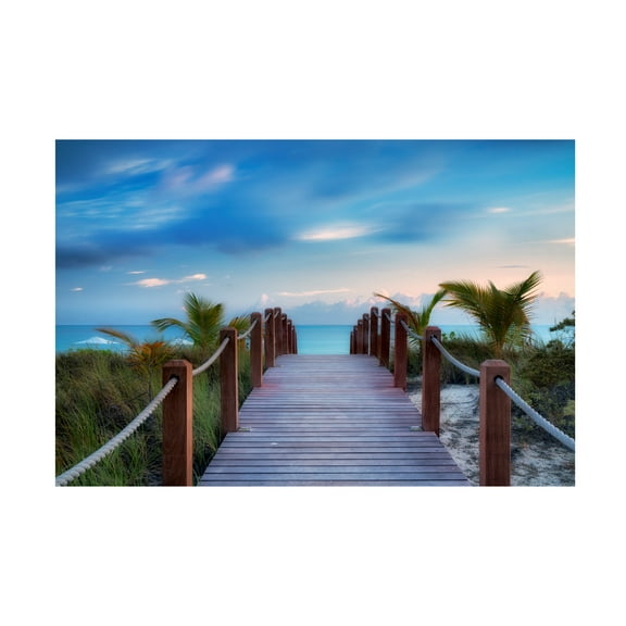 Dennis Frates 'Pathway' Canvas Art