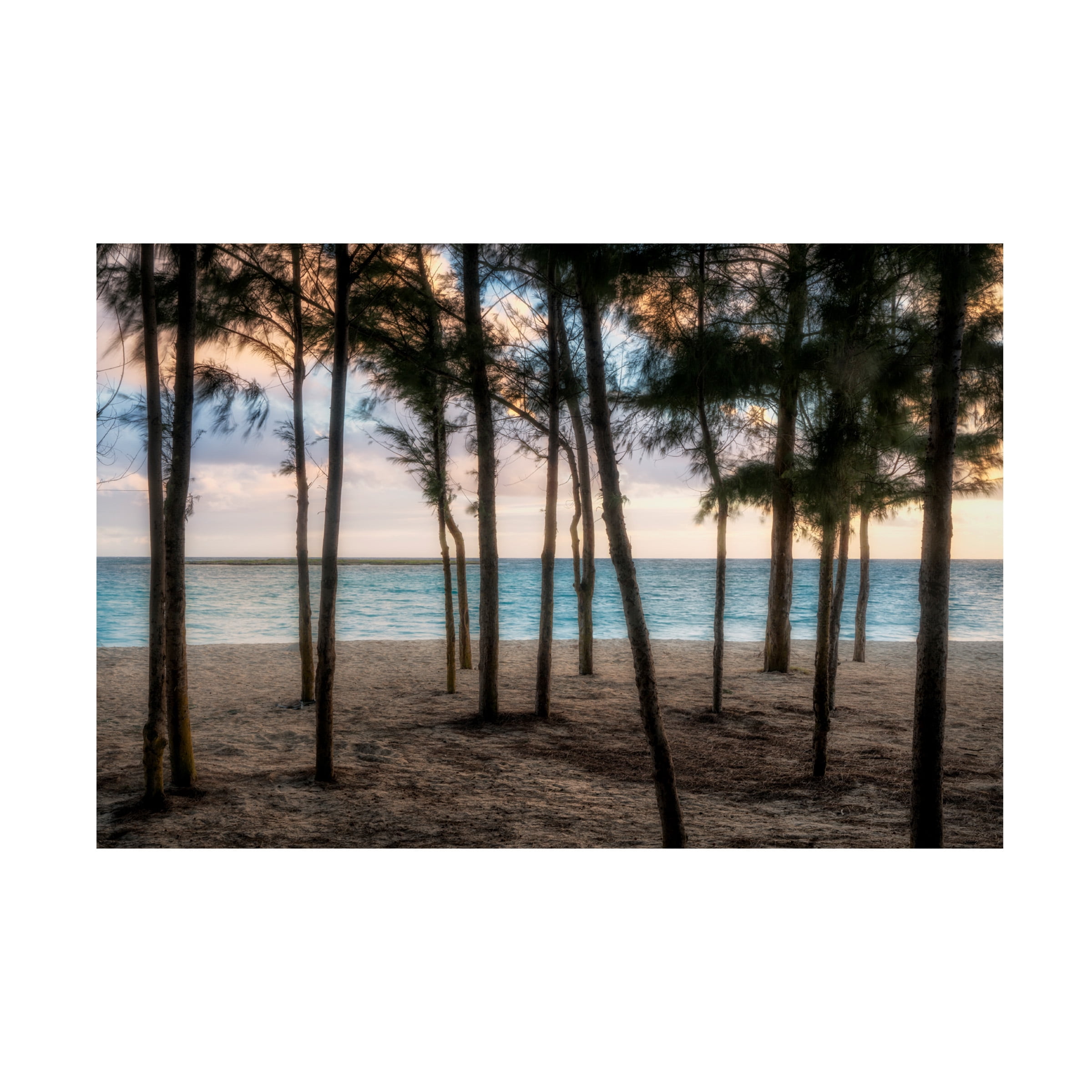 Dennis Frates 'Sunrise 1' Canvas Art