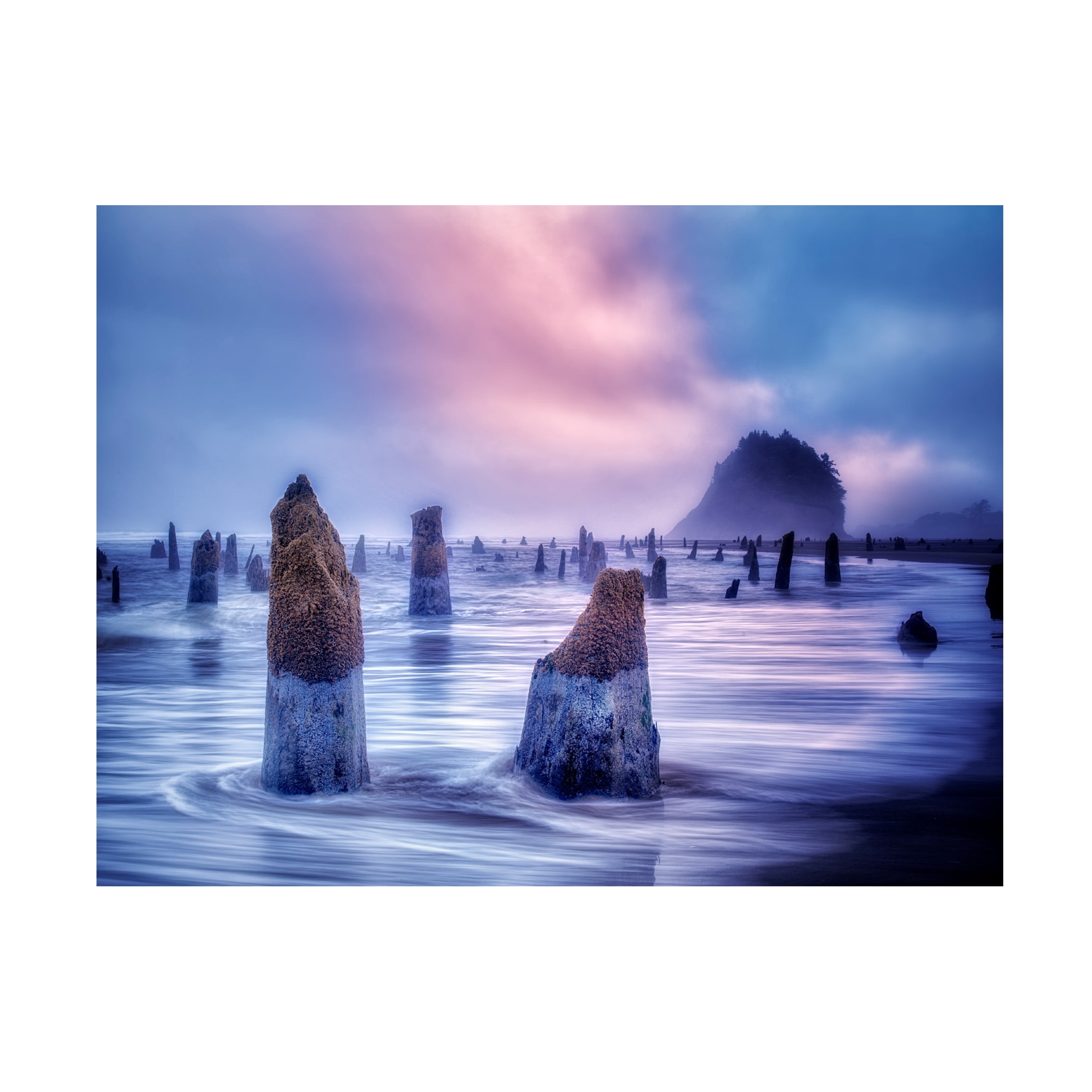 Dennis Frates 'The Ghost Forest 1' Canvas Art