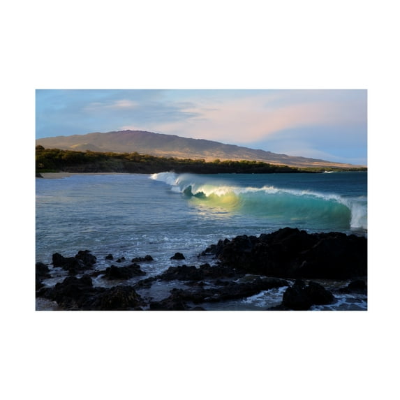 Dennis Frates 'Waves 12' Canvas Art