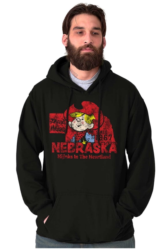 Nebraska State Unisex Plus Fleece Graphic Hoodie Brisco Brands 4X
