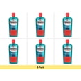 thumbnail image 1 of Denorex Extra Strength Dandruff Shampoo + Conditioner 10 oz - 6 Pack, 1 of 1