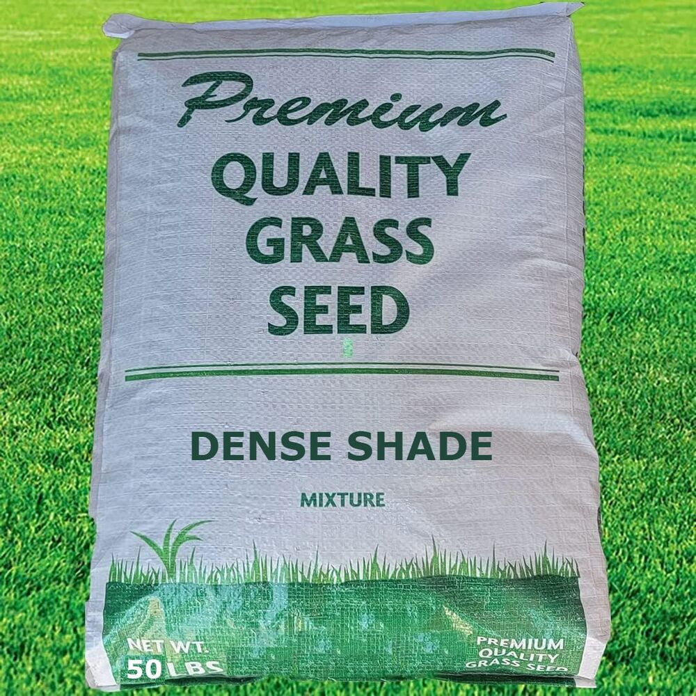 Dense Shade Grass Seed Lawn Seed