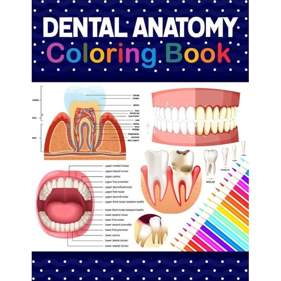 Dental Anatomy Coloring Book: Learn the Basics of Dental Anatomy. Dental Anatomy Coloring Book for Cute Children's,, (Paperback)