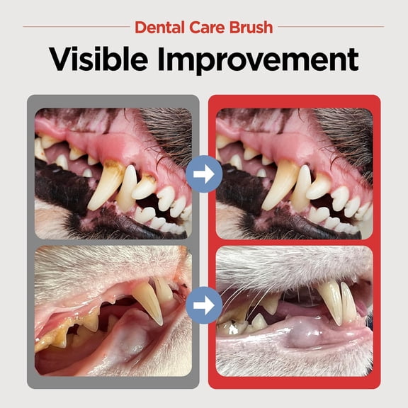 Dental Care Brush (Soft Bristles) 5ea - Dog Toothbrush, Cat Toothbrush, Dental Care for Kitten and Small Dogs