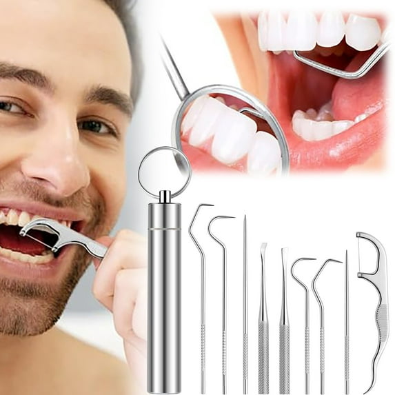 Dental Floss Picks 9 Pcs Stainless Teeth Cleaning Tool Set 2024 New Reusable Toothpick Set with Storage Box Metal Toothpicks Calculus Oral Care Cleaning Tools for Home and Traveling