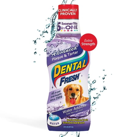 Dental Fresh Advanced Plaque & Tartar 8OZ