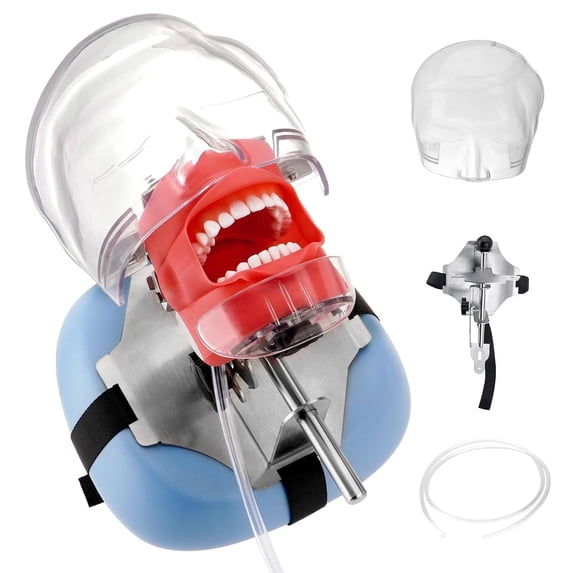 FOUR E's Scientific Dental Manikin Simulator Phantom Head with 28 Detachable Teeth, 180-Degree Rotatable, Height Adjustable, for Education