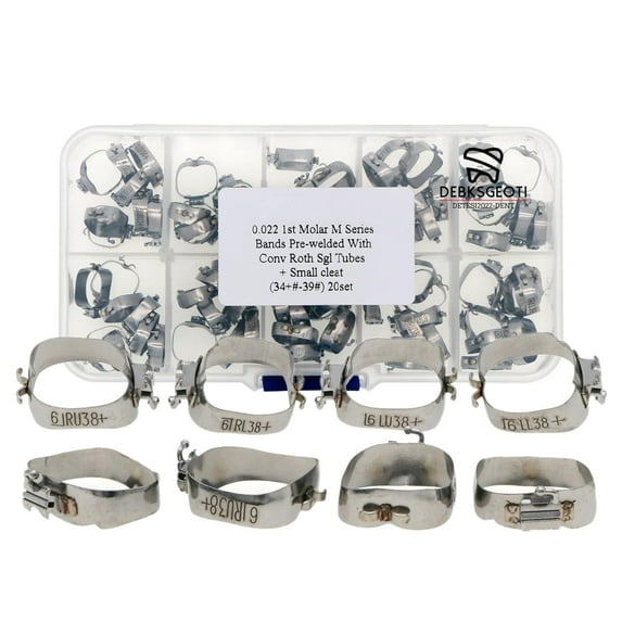 Dental Models Typodont with Orthodontic Molar Bands 34+#-39# (Cleat Type)