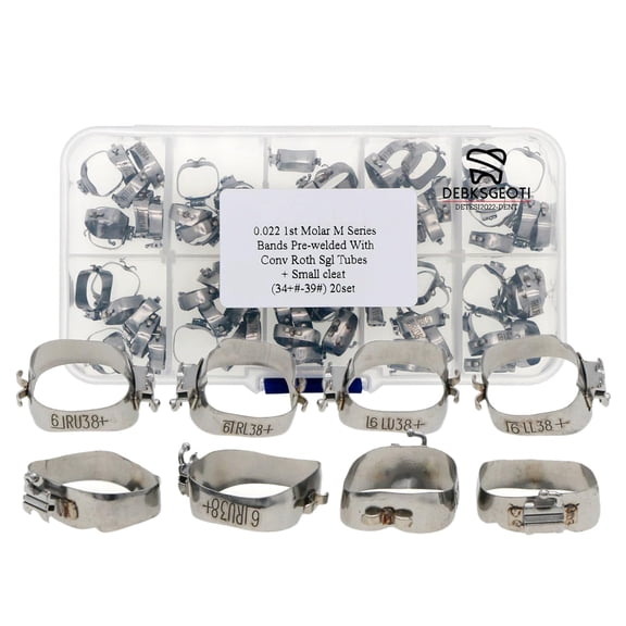 Dental Models Typodont with Orthodontic Molar Bands 34+#-39# (Cleat Type)