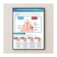 thumbnail image 1 of Dental Periodontal Disease Poster Canvas Painting Gum Health Education Chart Showing Plaque Tartar Buildup Effects Wall Art Clinic Office Decor, 1 of 1