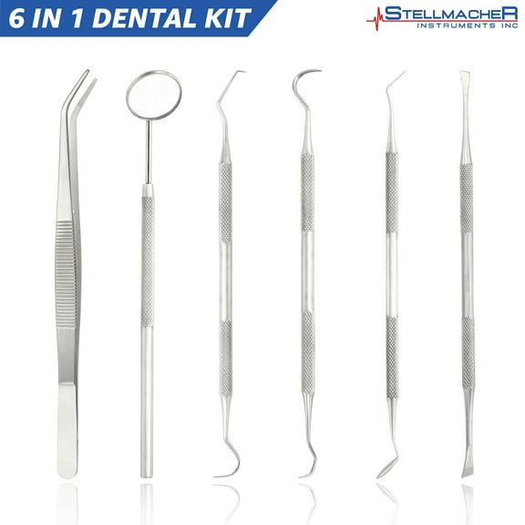 Dental Student Kit 6 Piece Stainless Steel Dental Hygiene Tool Set, Professional and Home Oral Care