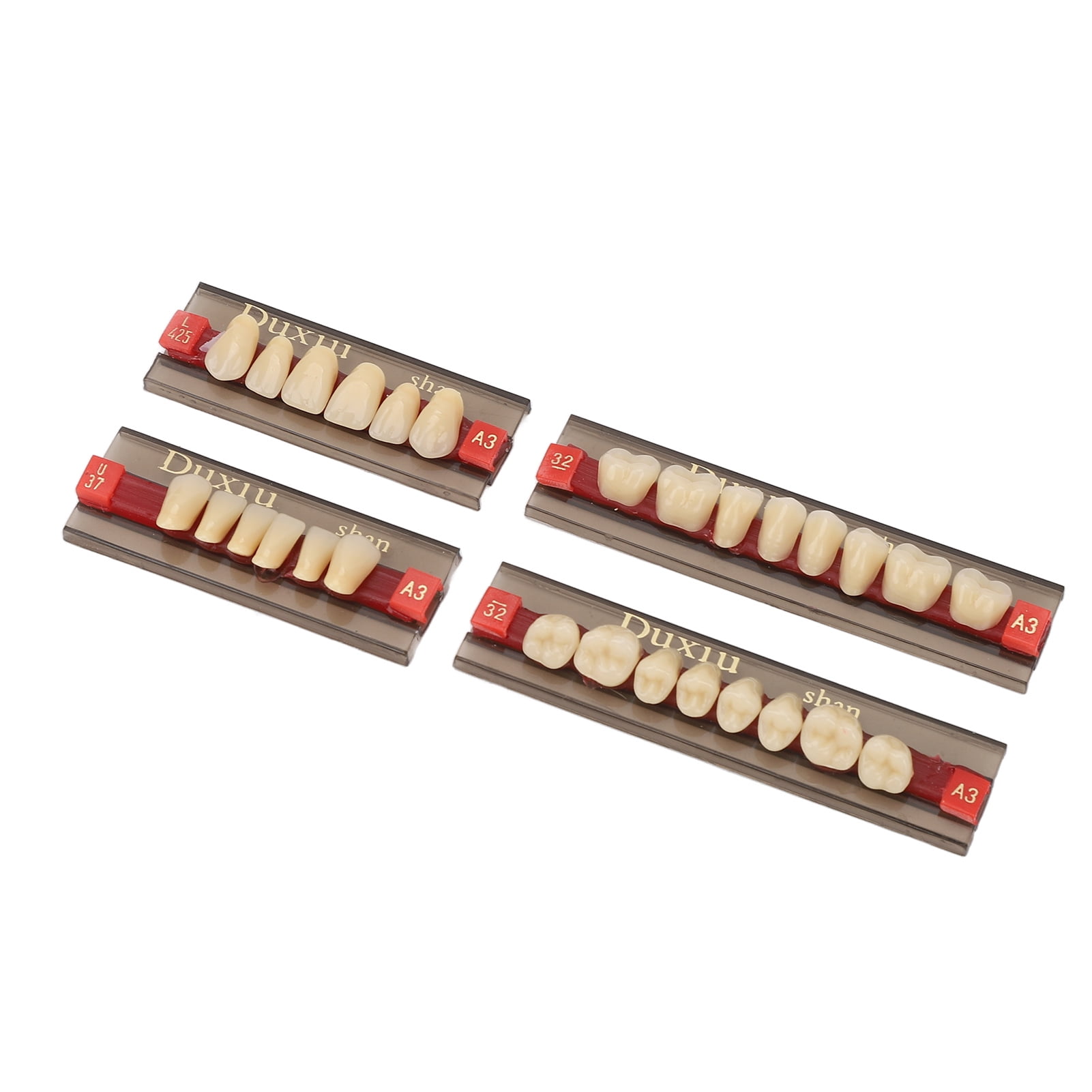 Dental Synthetic Resin Denture Tooth Professional Men Women Shade A3