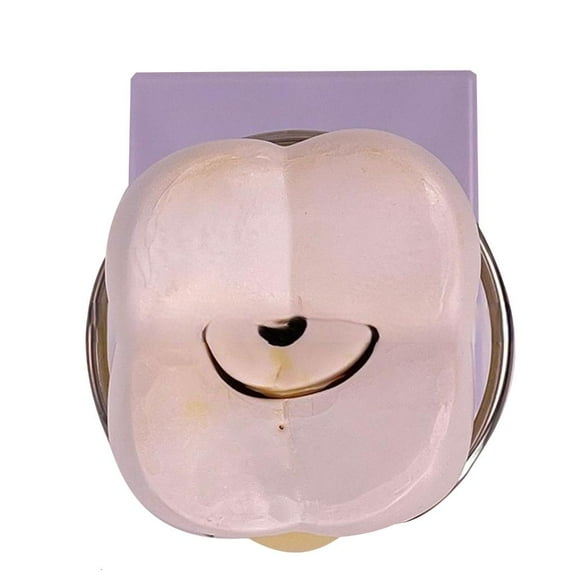 Dental Teeth Model Pathology Model Molar Tooth Model, Dental Anatomy Model