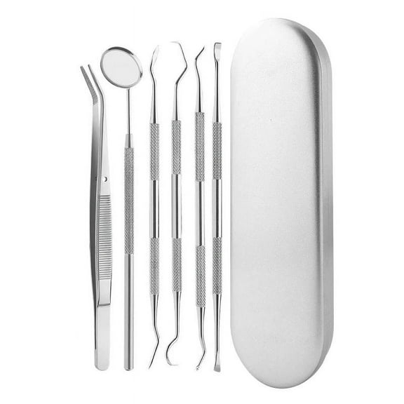 Dental Tools Stainless Steel Dentist Teeth Cleaning Hygiene Choice Mirror Oral Health Kit Tooth Cleaning Inspection Tartar Cleaner, Silver 6 Pieces Set-