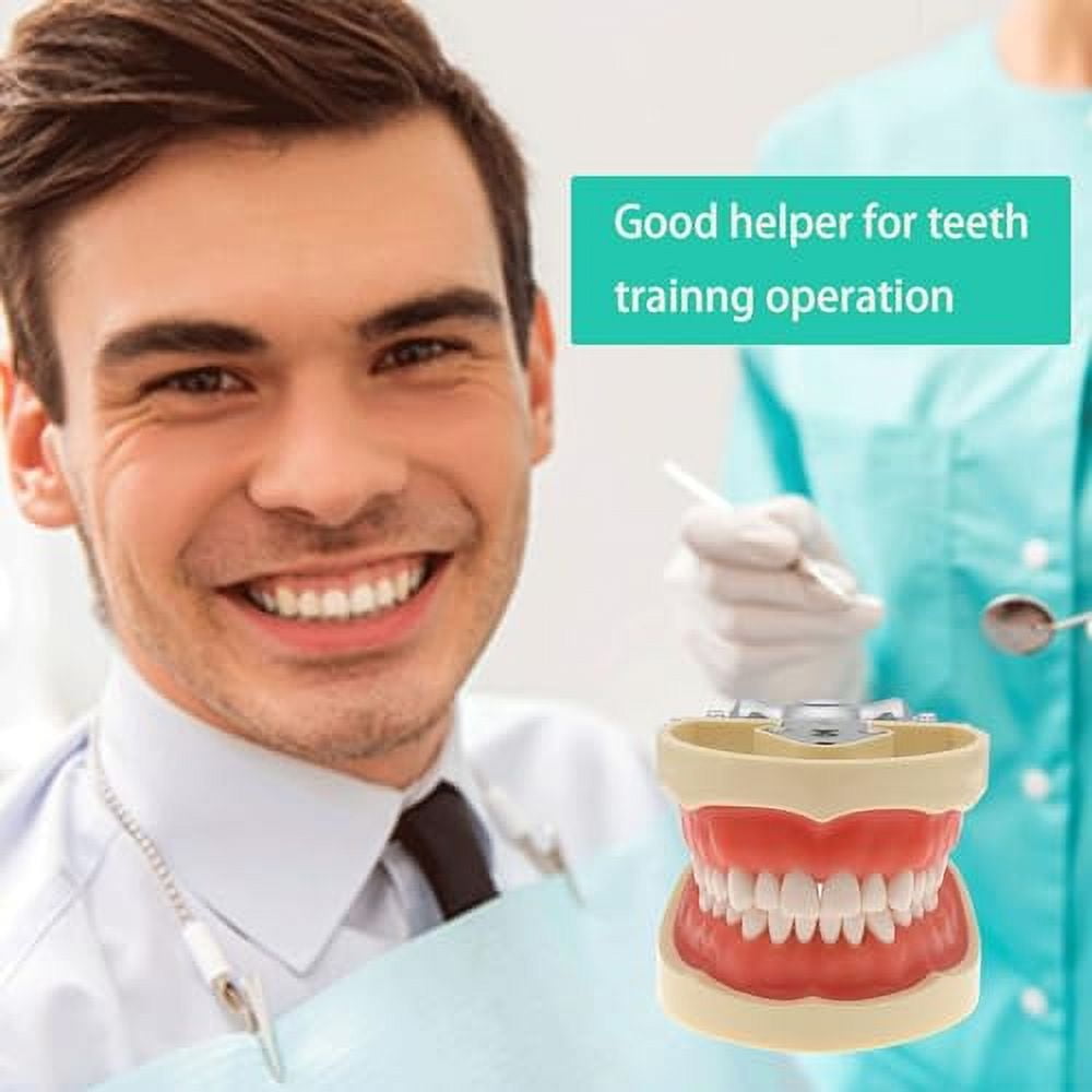 Nissin Dental Model